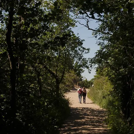 Evancy Etoile Des Dunes