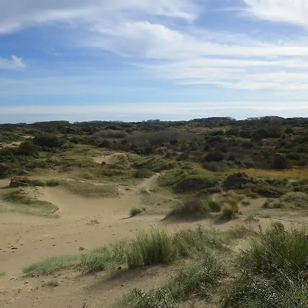 Evancy Etoile Des Dunes